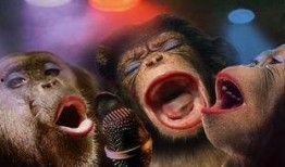 男子爆料羊角蜜蜂视频大全,揭秘神秘蜂群的视频大揭秘